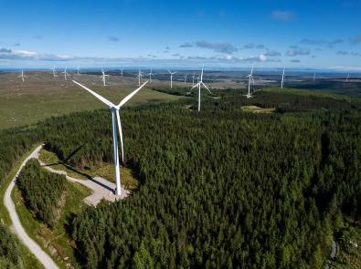 renewable clear