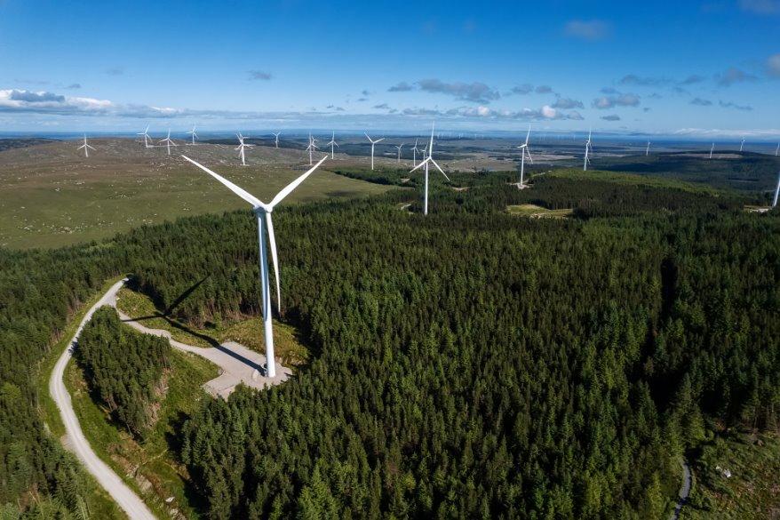A group of wind turbines in a forest